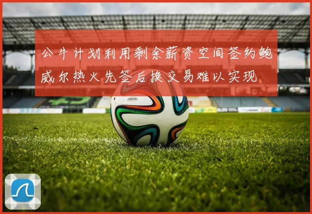 公牛计划利用剩余薪资空间签约鲍威尔热火先签后换交易难以实现