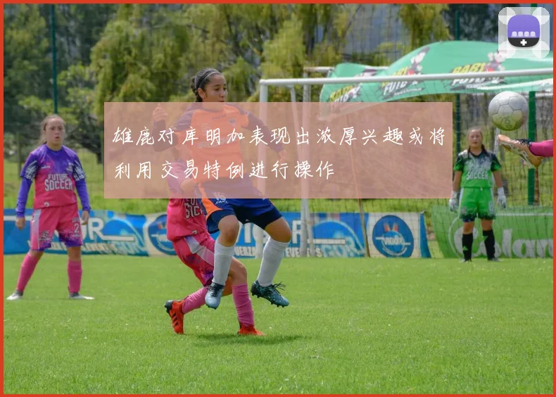 雄鹿对库明加表现出浓厚兴趣或将利用交易特例进行操作
